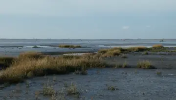 La baie au fil des saisons - Novembre